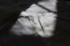 IMG_9740