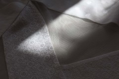 IMG_9779