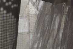 IMG_9804